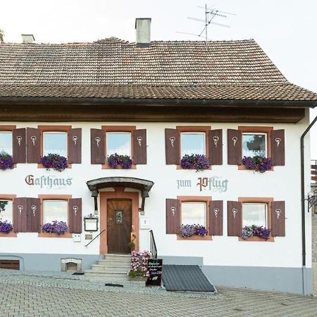 Hotel Landgasthof Zum Pflug Kleines Wiesental Exteriér fotografie