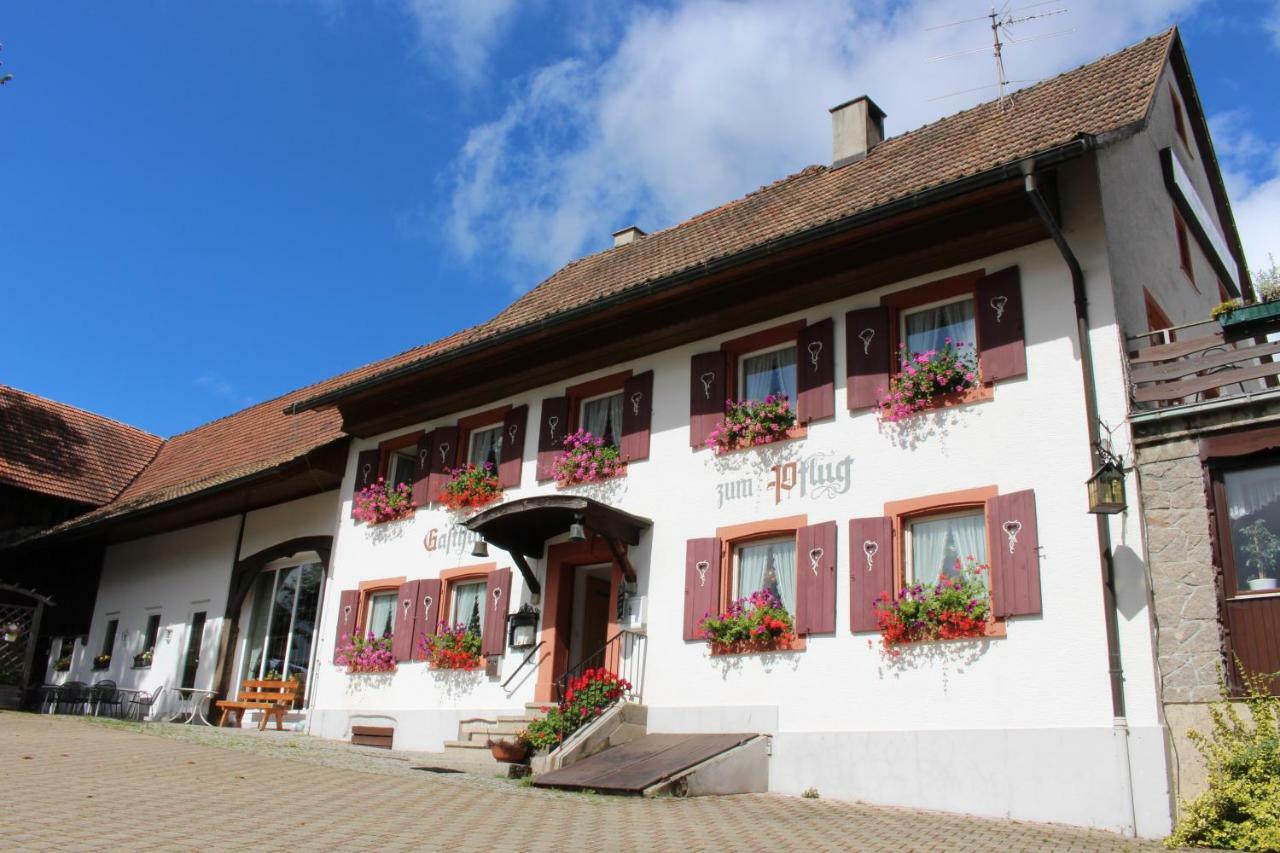 Hotel Landgasthof Zum Pflug Kleines Wiesental Exteriér fotografie