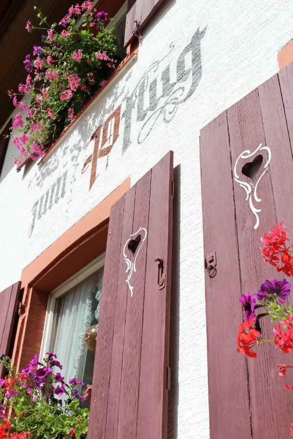 Hotel Landgasthof Zum Pflug Kleines Wiesental Exteriér fotografie