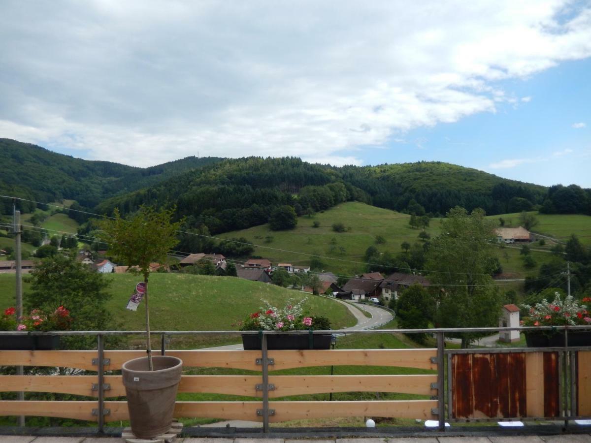 Hotel Landgasthof Zum Pflug Kleines Wiesental Exteriér fotografie